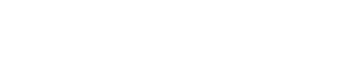 LION MEDIA[ライオン メディア] – デモサイト